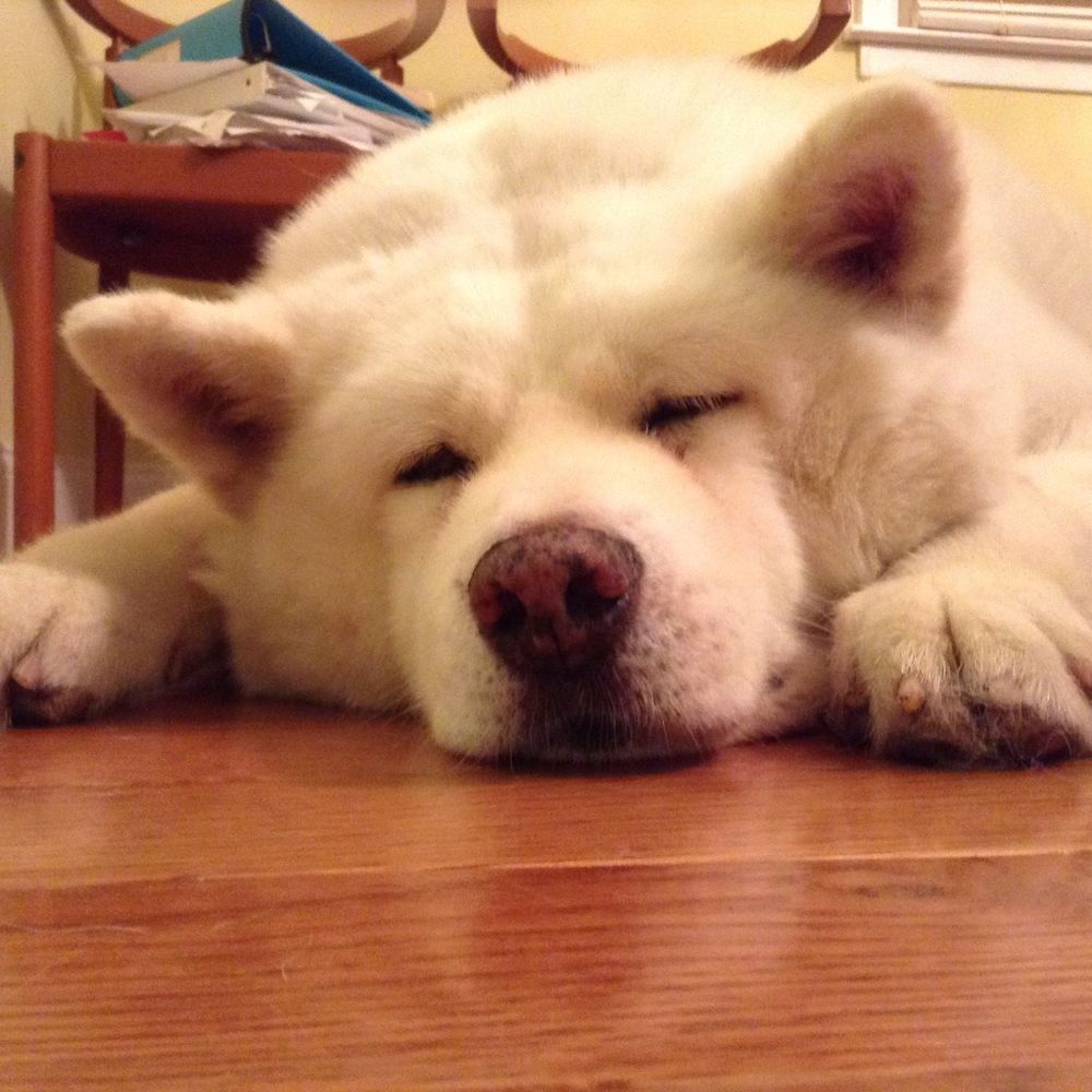 Meet your Posher, Karina